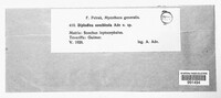 Image Associated With the Occurrence